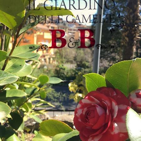 B&B Il Giardino Delle Camelie Палестрина Екстериор снимка