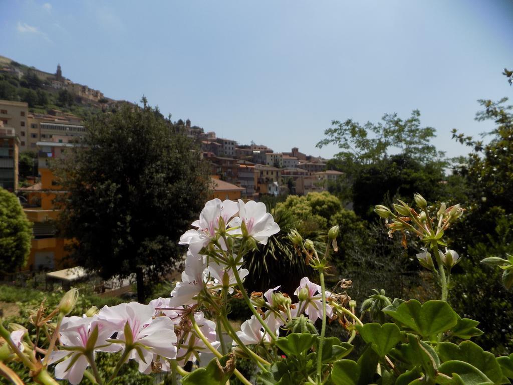 B&B Il Giardino Delle Camelie Палестрина Екстериор снимка