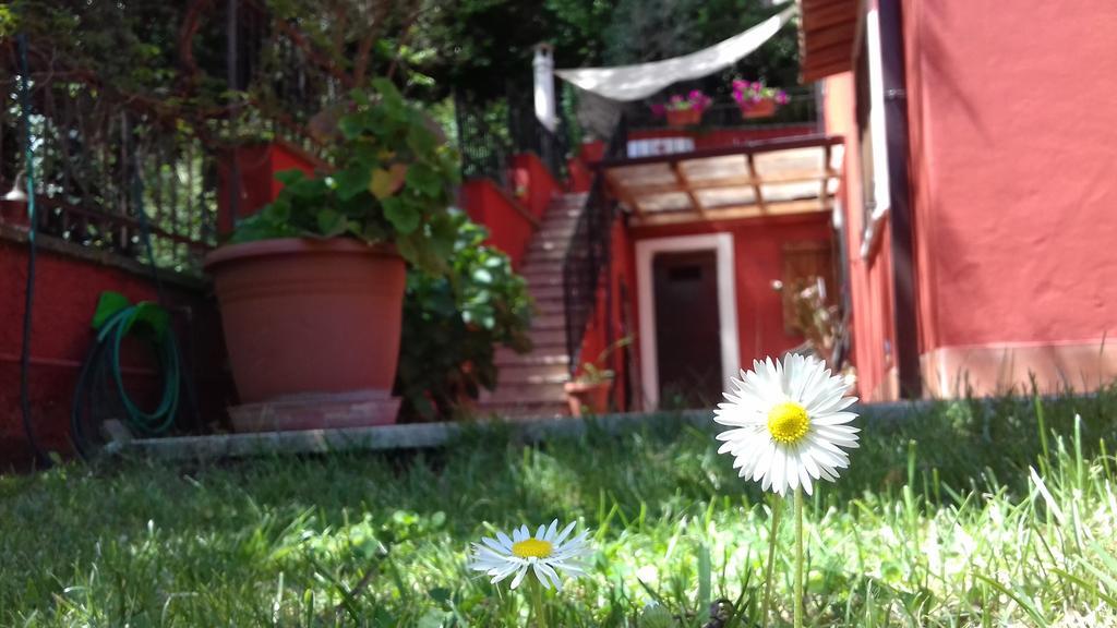 B&B Il Giardino Delle Camelie Палестрина Екстериор снимка
