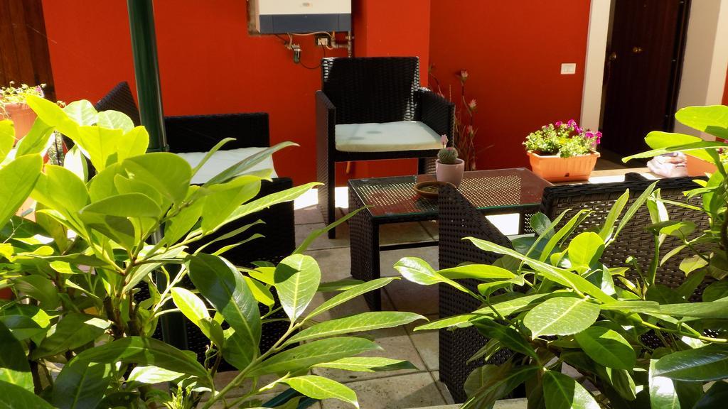B&B Il Giardino Delle Camelie Палестрина Екстериор снимка