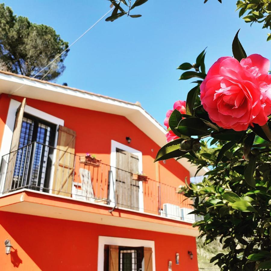 B&B Il Giardino Delle Camelie Палестрина Екстериор снимка